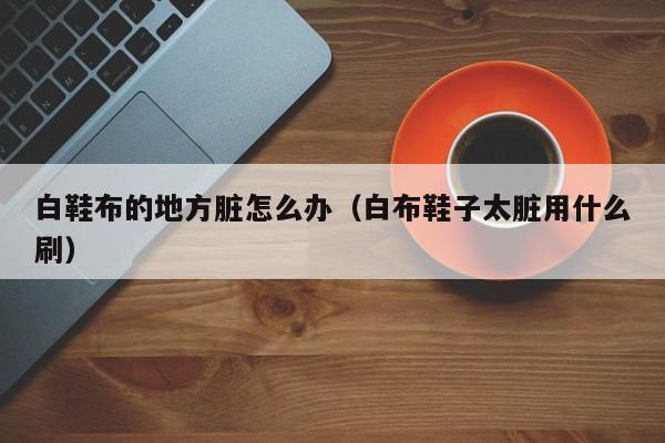 白鞋布的地方脏怎么办（白布鞋子太脏用什么刷）