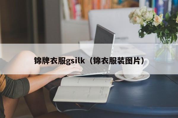 锦牌衣服gsilk（锦衣服装图片）