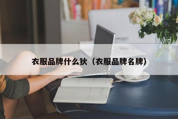 衣服品牌什么狄（衣服品牌名牌）