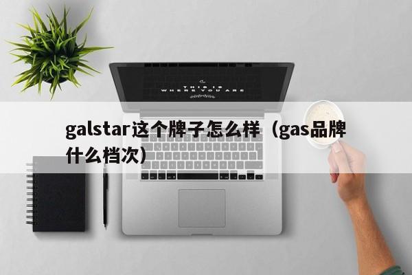 galstar这个牌子怎么样（gas品牌什么档次）